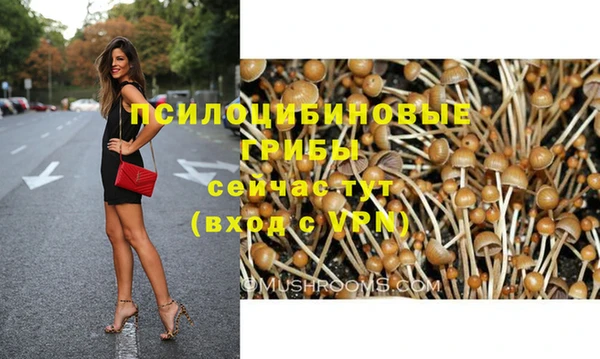МДПВ Алексеевка