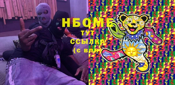 стаф Алзамай