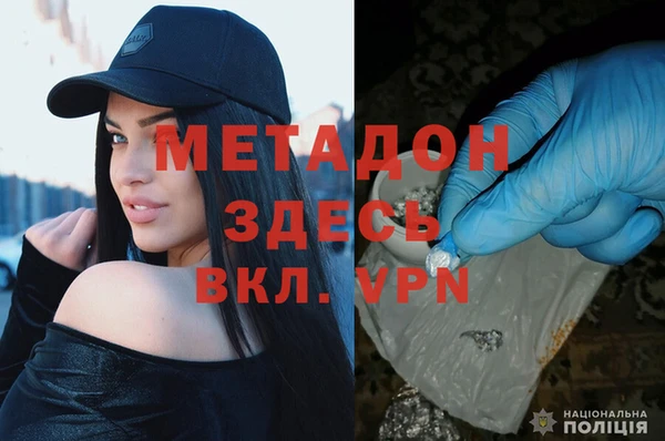 стаф Алзамай