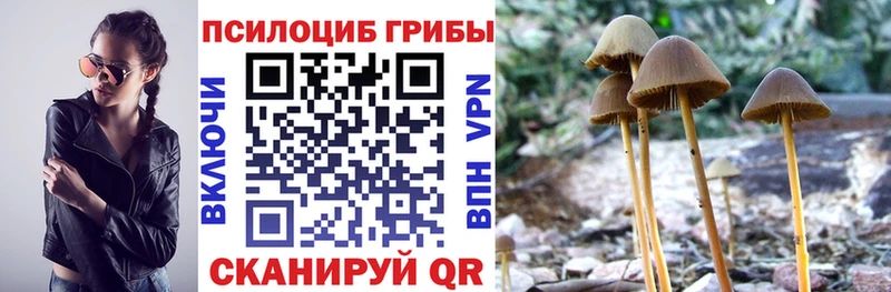 KRAKEN сайт  Абдулино  Галлюциногенные грибы Cubensis  дарнет шоп 